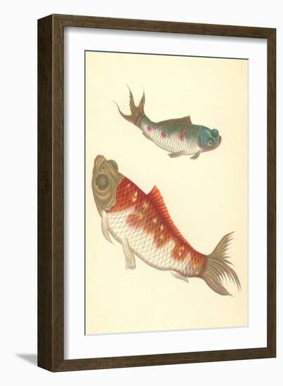 Koi-null-Framed Art Print