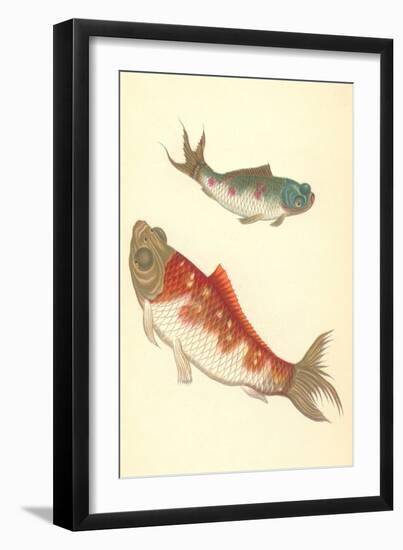 Koi-null-Framed Art Print