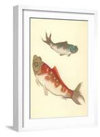 Koi-null-Framed Art Print