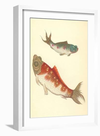 Koi-null-Framed Art Print