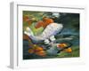 Koi-Jane Slivka-Framed Art Print