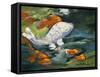 Koi-Jane Slivka-Framed Stretched Canvas