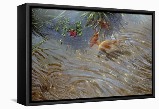 Koi-Michael Jackson-Framed Stretched Canvas