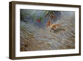 Koi-Michael Jackson-Framed Giclee Print