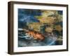 Koi-Theo Beck-Framed Art Print