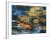 Koi-Theo Beck-Framed Art Print