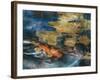 Koi-Theo Beck-Framed Art Print