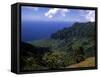 Kokee State Park, Honopu, HI-Bill Bachmann-Framed Stretched Canvas