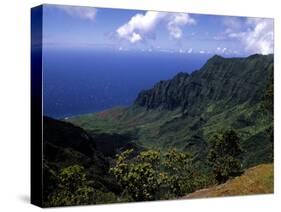 Kokee State Park, Honopu, HI-Bill Bachmann-Stretched Canvas