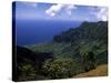 Kokee State Park, Honopu, HI-Bill Bachmann-Stretched Canvas