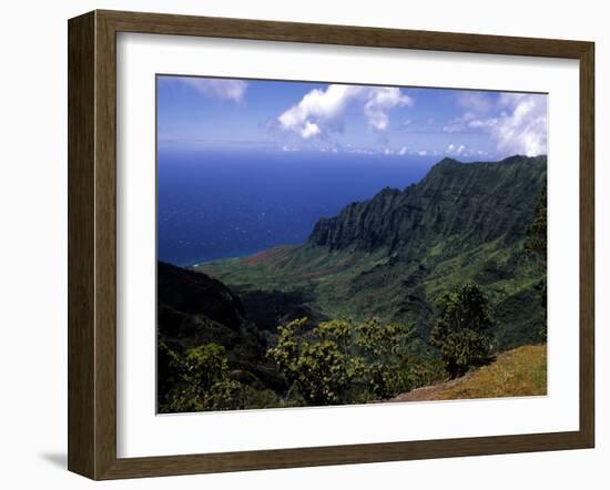 Kokee State Park, Honopu, HI-Bill Bachmann-Framed Premium Photographic Print