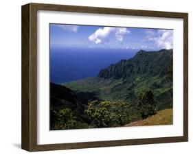 Kokee State Park, Honopu, HI-Bill Bachmann-Framed Premium Photographic Print