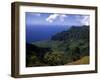 Kokee State Park, Honopu, HI-Bill Bachmann-Framed Photographic Print