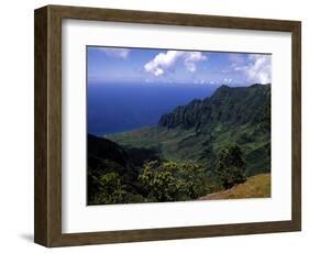 Kokee State Park, Honopu, HI-Bill Bachmann-Framed Photographic Print