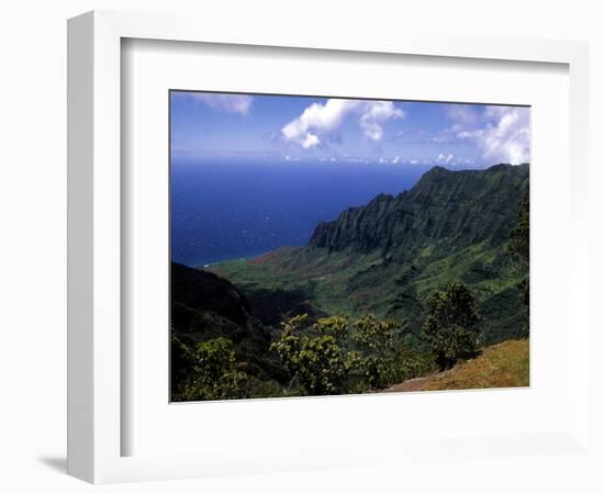 Kokee State Park, Honopu, HI-Bill Bachmann-Framed Photographic Print