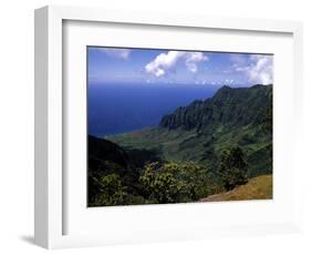 Kokee State Park, Honopu, HI-Bill Bachmann-Framed Photographic Print