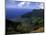 Kokee State Park, Honopu, HI-Bill Bachmann-Mounted Photographic Print