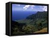 Kokee State Park, Honopu, HI-Bill Bachmann-Framed Stretched Canvas