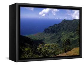 Kokee State Park, Honopu, HI-Bill Bachmann-Framed Stretched Canvas