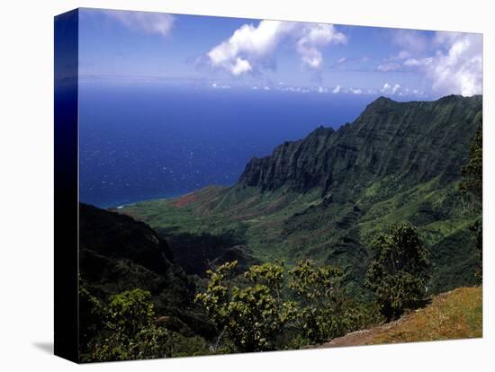 Kokee State Park, Honopu, HI-Bill Bachmann-Stretched Canvas