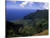 Kokee State Park, Honopu, HI-Bill Bachmann-Stretched Canvas