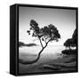 Koki Beach-Rob Cherry-Framed Stretched Canvas