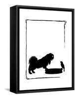 Koko the Pekinese Dog with Jack Sparrow-Mary Baker-Framed Stretched Canvas