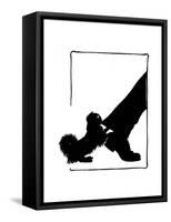 Koko the Pekinese Dog with Postman's Leg-Mary Baker-Framed Stretched Canvas