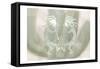 Kokopelli Cactus-Kimberly Allen-Framed Stretched Canvas