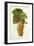 Kokour Blanc Grape-J. Troncy-Framed Giclee Print