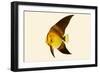 Kola Hondah - Leaf Moon-John Whitchurch Bennett-Framed Art Print