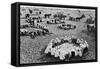 Kolkhoz Near Kiev, 1936-null-Framed Stretched Canvas