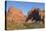 Kolob Canyons, Zion National Park, Utah, United States of America, North America-Gary Cook-Stretched Canvas