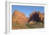 Kolob Canyons, Zion National Park, Utah, United States of America, North America-Gary Cook-Framed Photographic Print