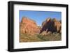 Kolob Canyons, Zion National Park, Utah, United States of America, North America-Gary Cook-Framed Photographic Print