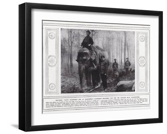 Photographic Print, , large