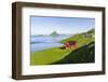 Koltur island at sunrise, village Velbastadur. Denmark, Faroe Islands-Martin Zwick-Framed Photographic Print