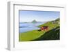 Koltur island at sunrise, village Velbastadur. Denmark, Faroe Islands-Martin Zwick-Framed Photographic Print