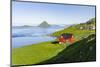 Koltur island at sunrise, village Velbastadur. Denmark, Faroe Islands-Martin Zwick-Mounted Photographic Print