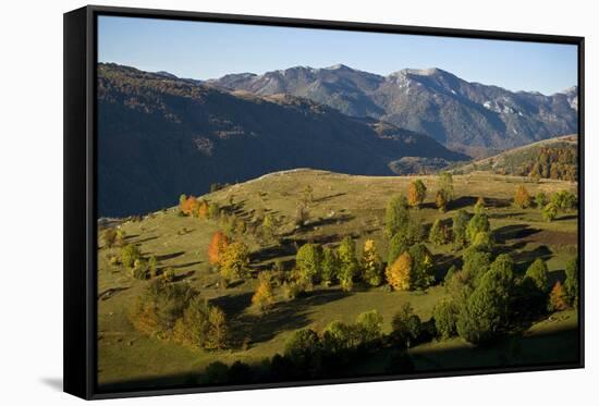 Komarnica Canyon Landscape, Durmitor Np, Montenegro, October 2008-Radisics-Framed Stretched Canvas