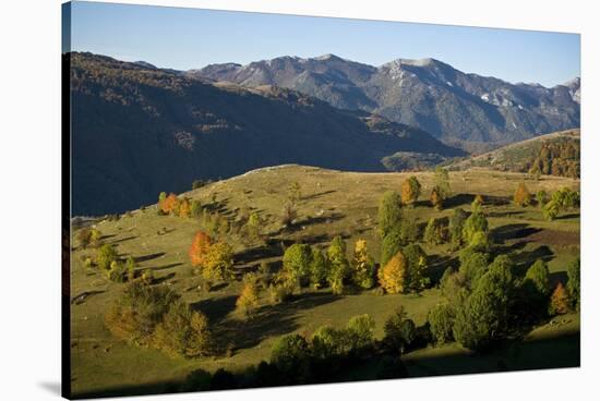 Komarnica Canyon Landscape, Durmitor Np, Montenegro, October 2008-Radisics-Stretched Canvas