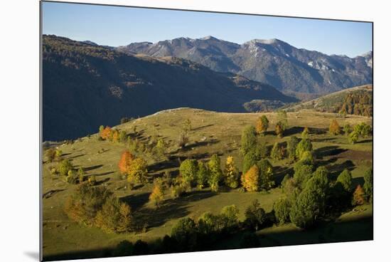 Komarnica Canyon Landscape, Durmitor Np, Montenegro, October 2008-Radisics-Mounted Photographic Print