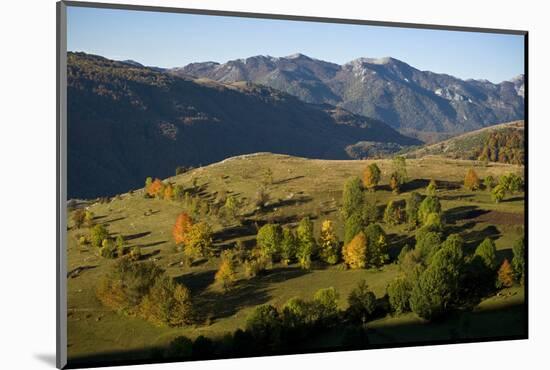 Komarnica Canyon Landscape, Durmitor Np, Montenegro, October 2008-Radisics-Mounted Photographic Print