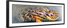 Black Frame