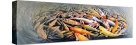Stretched Canvas