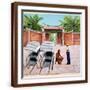 Brown Frame