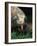 Komodo Dragon in Indonesia-Martin Harvey-Framed Photographic Print