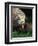 Komodo Dragon in Indonesia-Martin Harvey-Framed Photographic Print