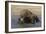 Komodo Dragon on Beach Entering Sea-null-Framed Photographic Print