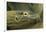 Komodo Dragon-Joe McDonald-Framed Photographic Print